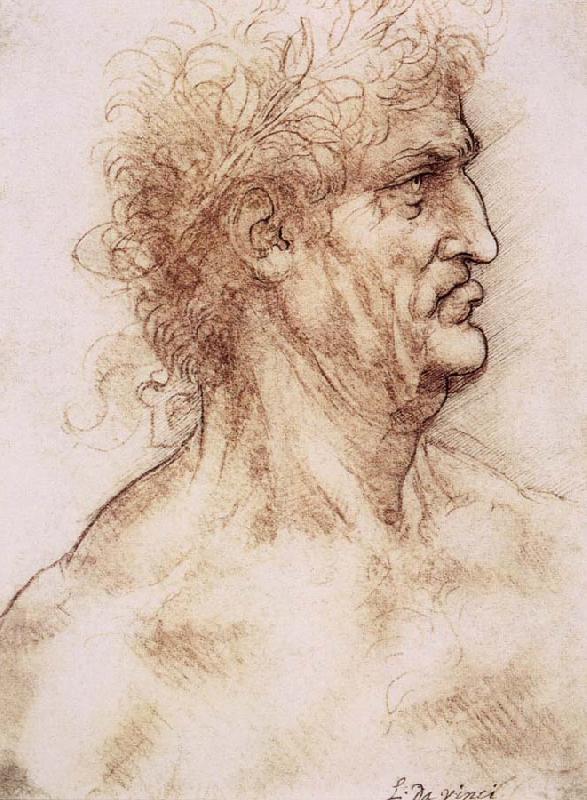 LEONARDO da Vinci Profile one with book leaves gekroten of old man oil painting image